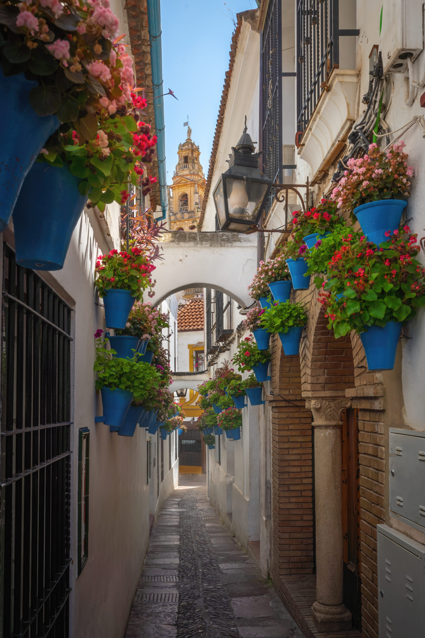 Calleja De Las Flores Street With Flower Pots And 2025 03 26 22 00 12 Utc